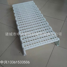 �������u��©�S�� ���u©�S��W�� �u�������ϾW��