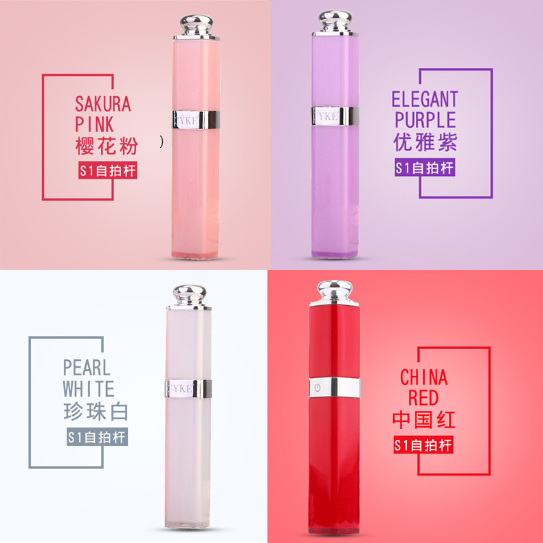 Bâton selfie en Acier inoxydable - Ref 3387267 Image 28