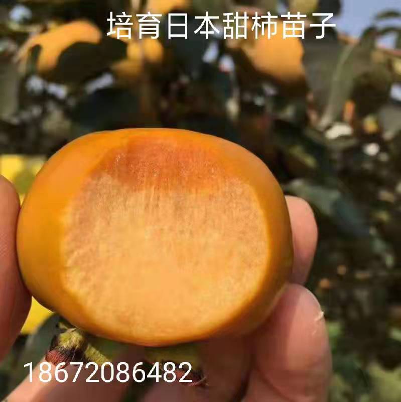 微信图片_20190930201705