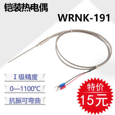 WRNK-191铠装K型热电偶E/J型温度传感器探头高温可弯曲探针热电偶