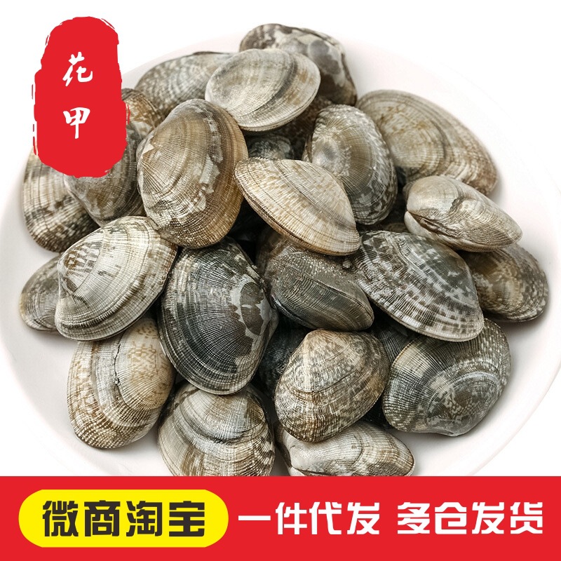 Small fresh Fresh Flower clams clam Flower armor 500g25 about Seafood Aquatic products On behalf of Availability