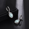 Fashionable trend earrings, jewelry, accessory, European style, with gem, wholesale