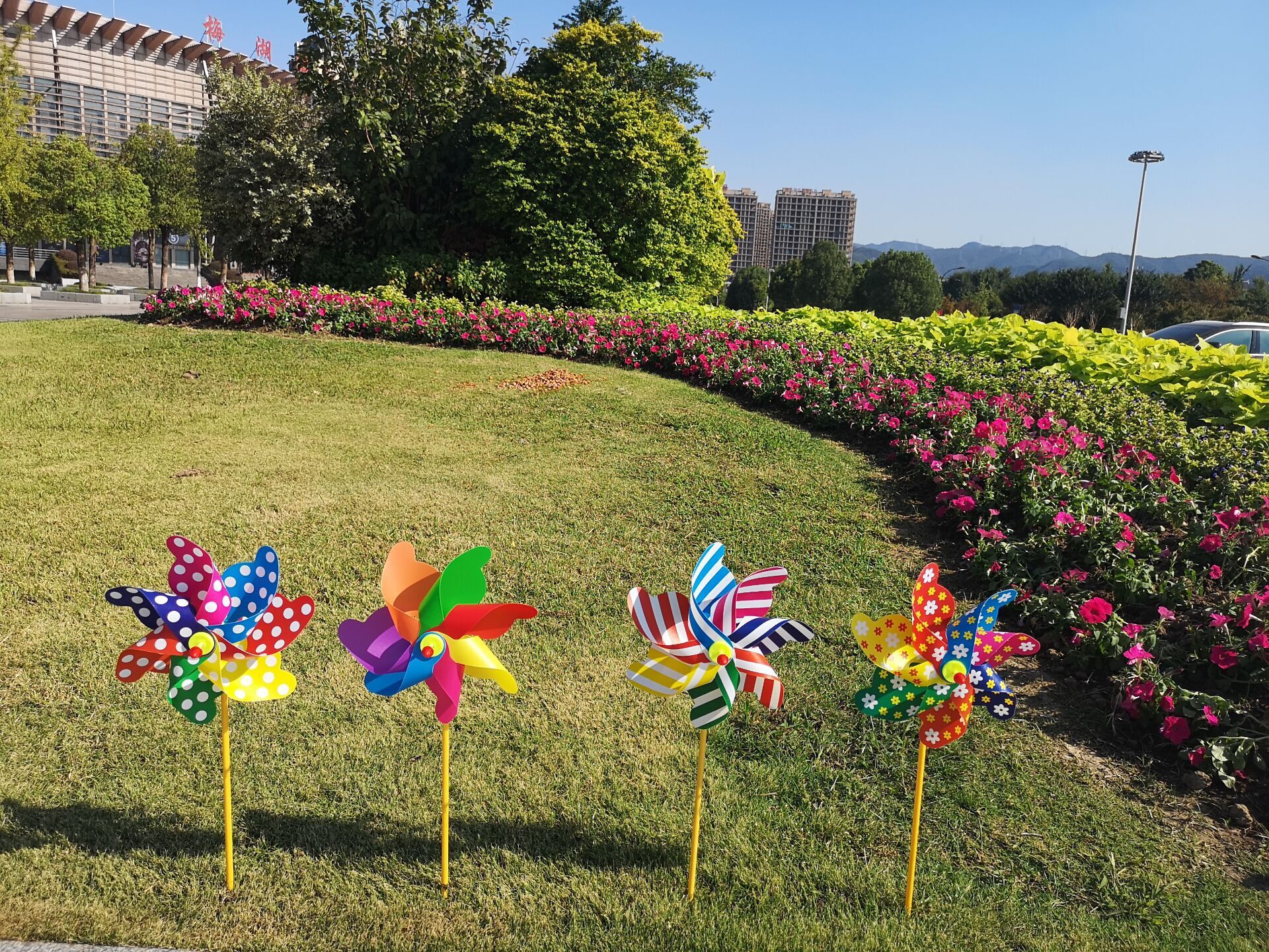 QQ图片20190923162854