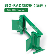 通用伯乐 bio-rad Casting Frame小型电泳制夹胶框 制胶框 绿色