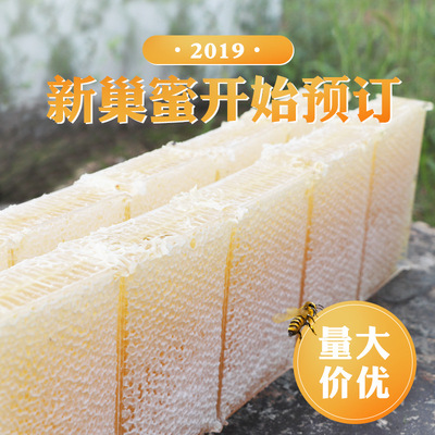 河北荆条巢蜜250g山花蜂巢蜜白荆条蜂巢蜜透明盒子巢蜜百花蜂蜜|ms