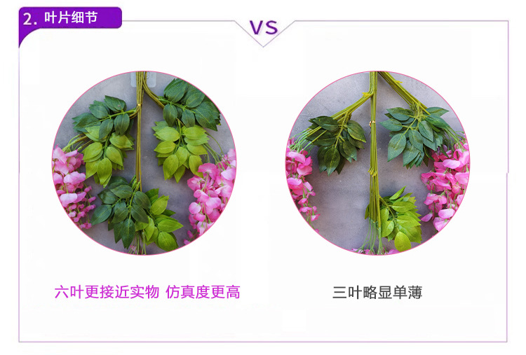6叶vs3叶_03