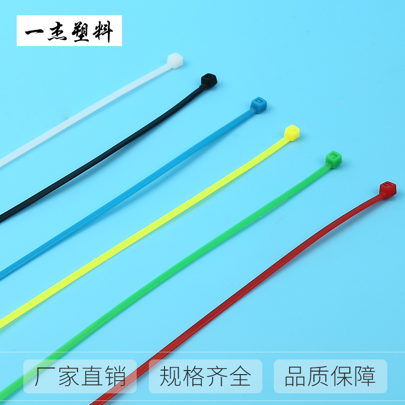 塑料扎带彩色3*200固定卡扣 捆扎带 扎线带 束带自锁式尼龙扎带