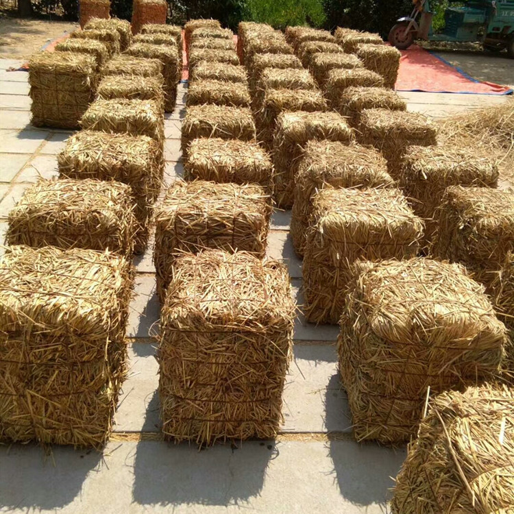 mmexport1532073049809_副本750