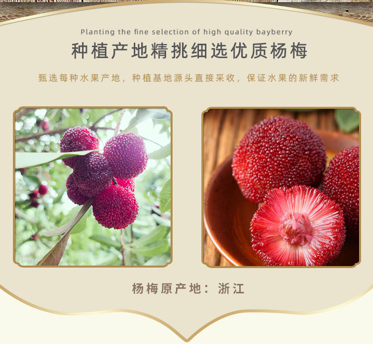 冰糖杨梅详情_03.jpg
