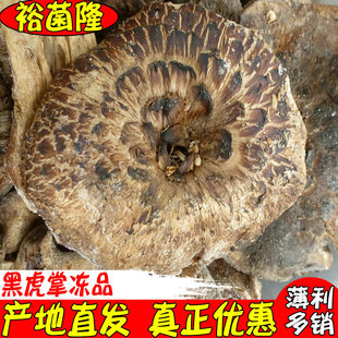 ��ԣ��¡���ڻ��ƾ��Ƶ껢�ƾ���Ʒ���l���N�[���X����Ϯa�ع���