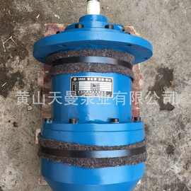 HSJ三螺杆泵图片/HSJ440-36三螺杆泵价格/黄山三螺杆泵厂家