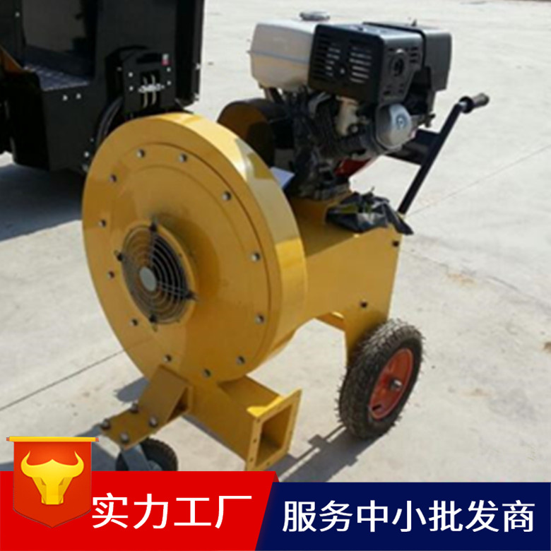 生产销售大马力吹风机 广场吹风机 绿地吹风机全新多功能