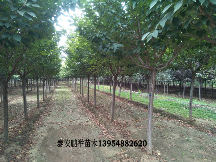 IMG20191005101304