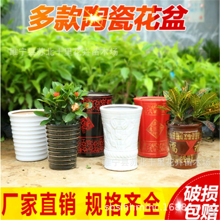 Керамический цветочный горшок маленький средний большой цветочный горшок поднос для доставки в помещении и на открытом воздухе простое многоцветное Горшечное растение
