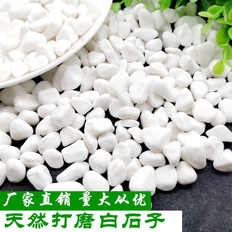 ✅Natural white stone pebbles white stone white marble colored stone gardening potted stone succulent paving courtyard construction