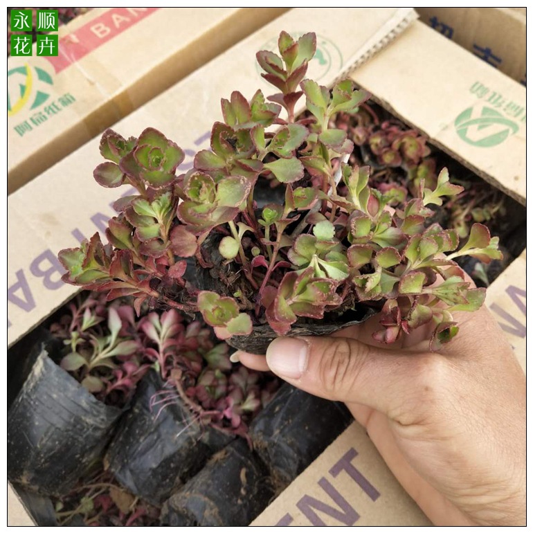 微信图片_201904220821065