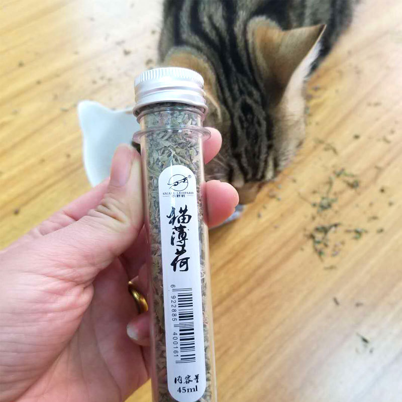 小野豹猫薄荷9