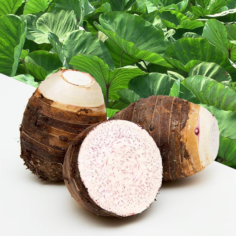 Taro 9 fresh Guangxi Li Riverside Vegetables Potato Orthodox school Betel nut taro Taro