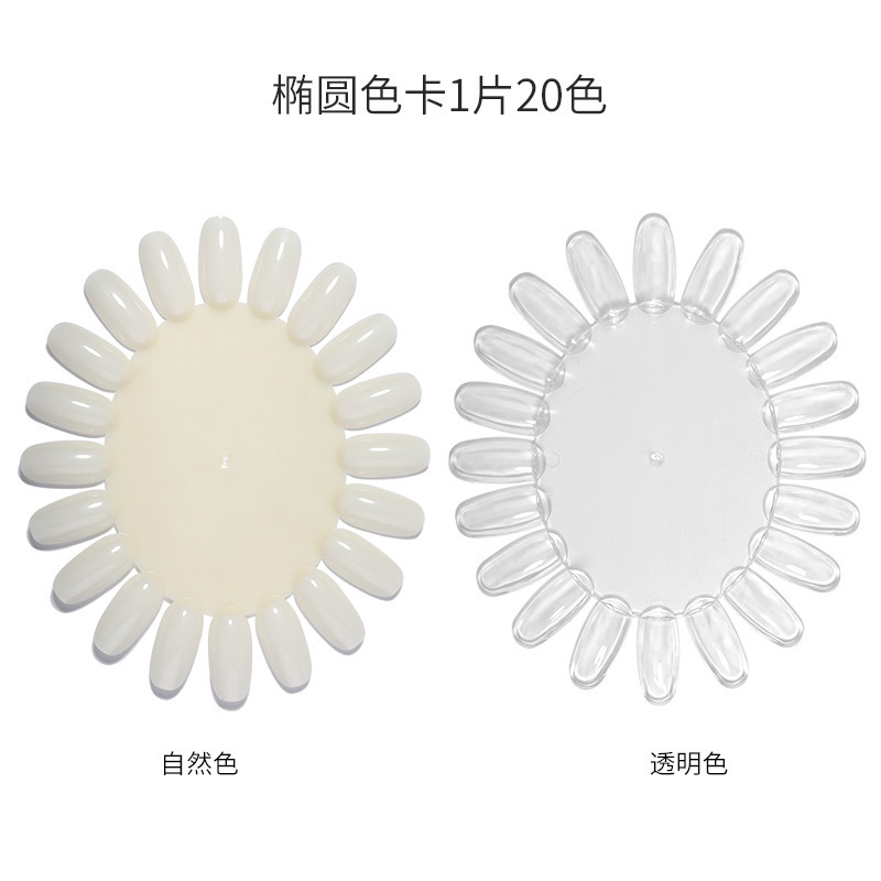 Nail art practice plate nail plate Crown Oval display color card plate transparent natural color iron ring fan-shaped plate nail plate Nail art practice plate nail plate Crown Oval display color card plate transparent natural color iron ring fan-shaped plate nail plate