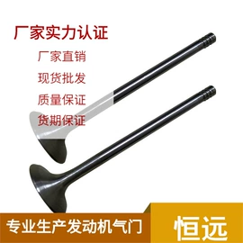 气门及部件;活塞/活塞环;气门部件