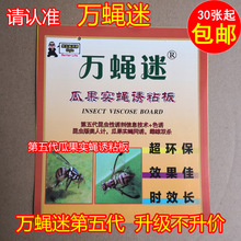 果蝇诱捕器 万蝇迷果蝇诱粘板 果蝇瓜实蝇通杀果蝇诱粘板果蝇贴纸