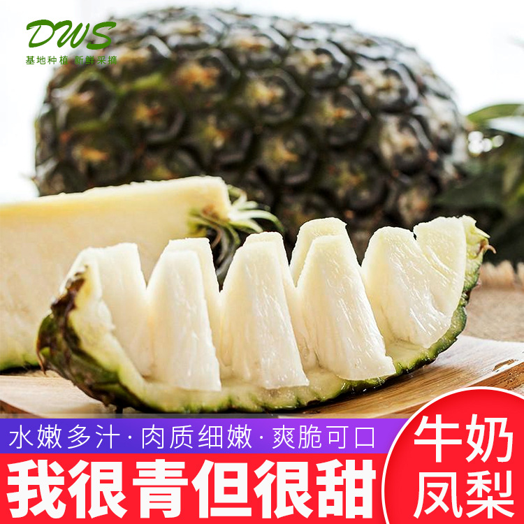 包邮牛奶凤梨 热带水果甜菠萝凤梨 新鲜水果一件代发批