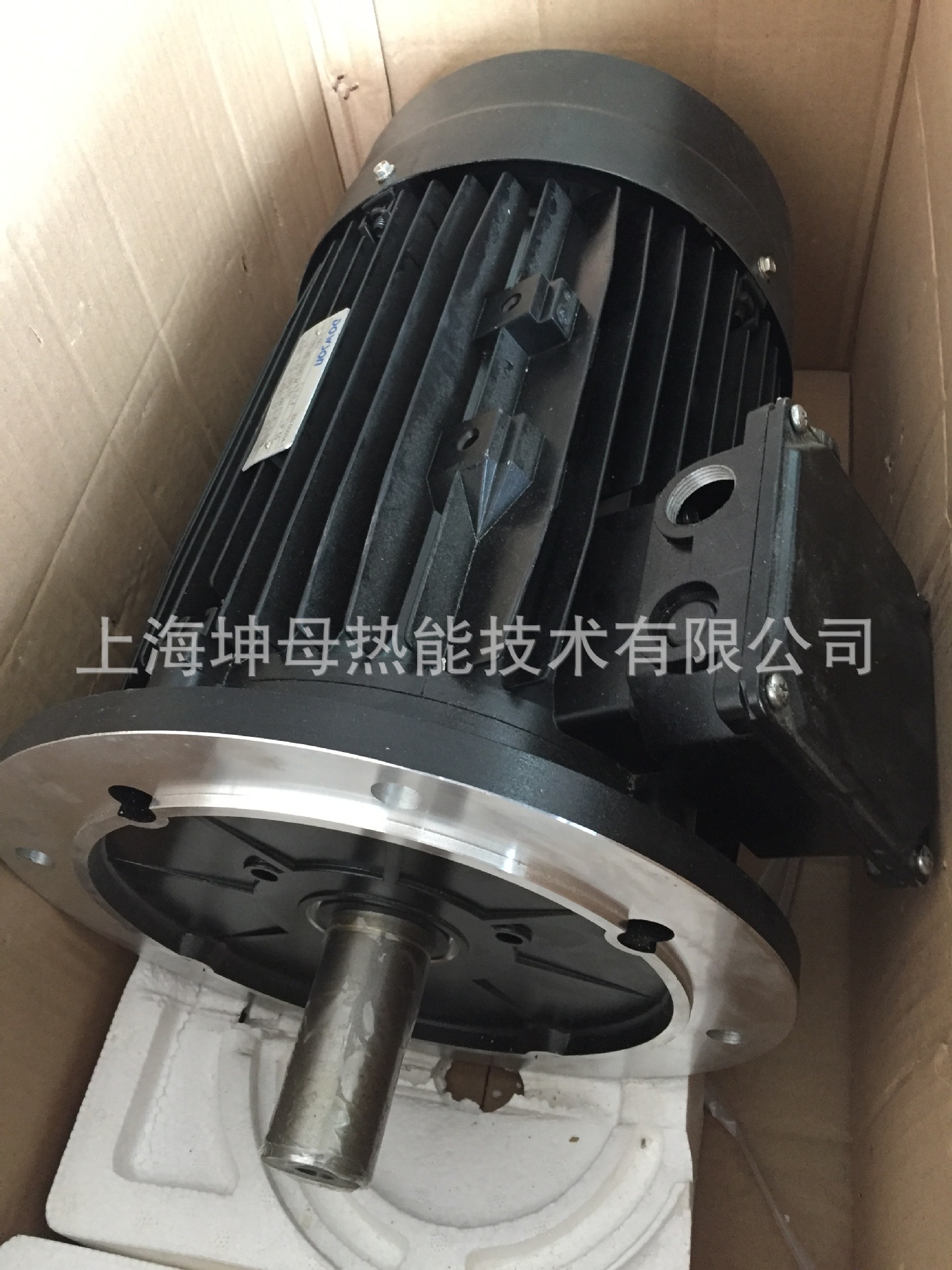 RIELLO/利雅路G1EMME4500 风机电机