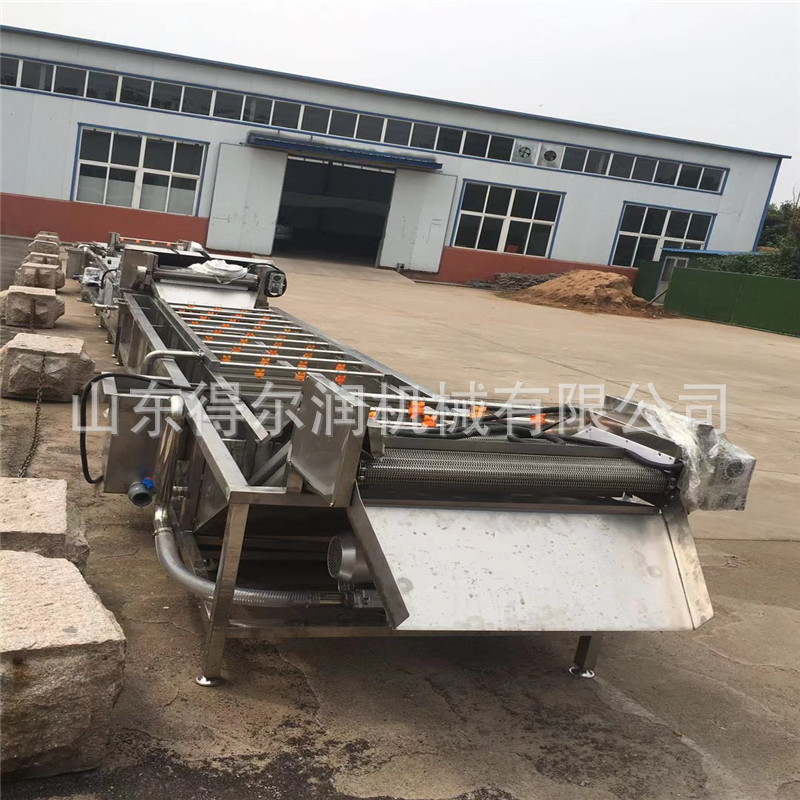 热销水浴式绿菜花漂烫机 西兰花清洗漂烫生产线 果蔬护色杀青机