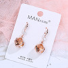 Long earrings, universal crystal with tassels, simple and elegant design, silver 925 sample