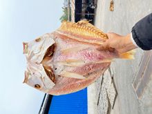 �����خa�ͶY�t�~�ɶ�NҎ��ˮ�a��؛�����~������~�ɺ��r��؛