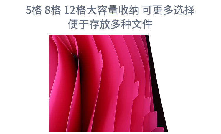 新款5格8格12格纽扣风琴包A4 文件夹文件袋 风琴包试卷文件收纳包详情图2