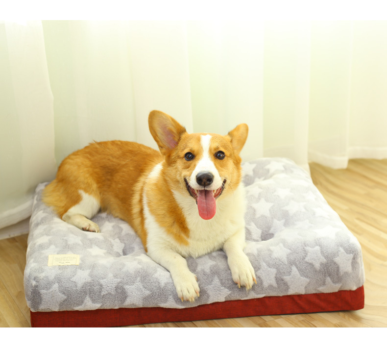 加厚狗垫_06.jpg