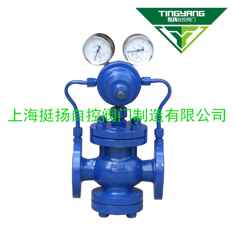 供应上海挺扬拍气体减压阀  先导活塞式减压阀  YK43F