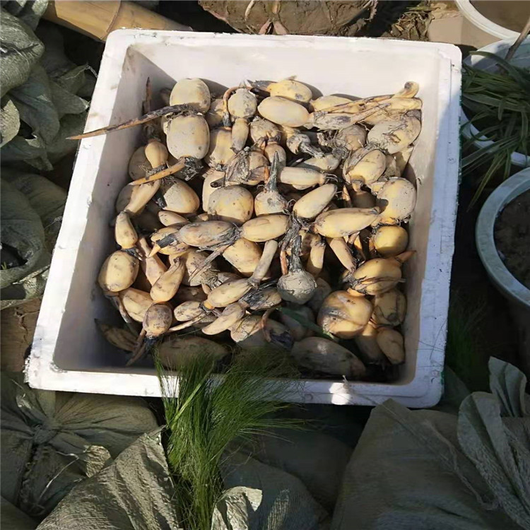 微信图片_20190924001631