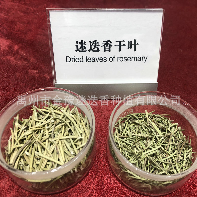 大量供应禹州迷迭香干叶 香气浓郁迷迭香叶 香料用迷迭香干叶