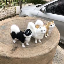 �����ʿ����Ȯ�[����ͥ���նY��[����߰���˹�ӹ�Ƥë