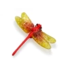 Red dragonfly