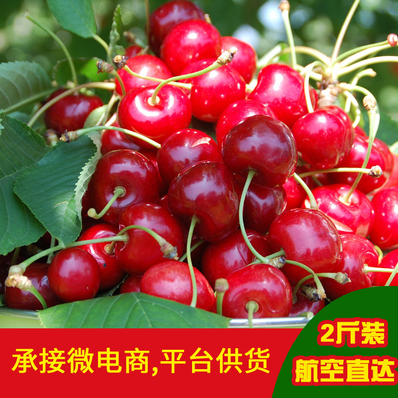 Shandong Taishan Mountain Cherry goods in stock Cherry fresh pregnant woman fruit Red light 2 Aviation Direct mail