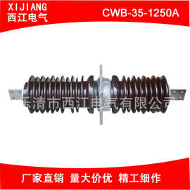 高压穿墙套管CWB-35-1250A陶瓷高压穿墙套管户外防污铜排