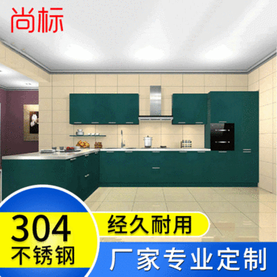 廠家熱銷 新款家用晶鋼門整體廚房櫥櫃 現代簡約廚房收納櫃