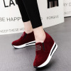 High loafers platform, casual footwear, Korean style