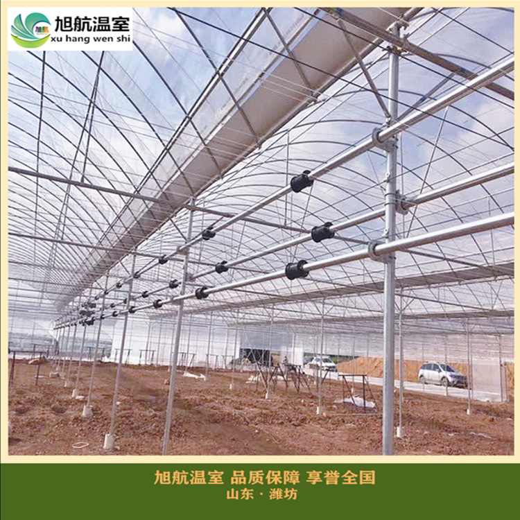 weixintupian_20190128105831_副本