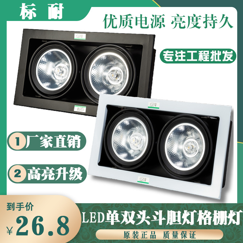 LED Recessed lights Embedded system cob Bean pot lamp smallpox Spotlight Double head Recessed lights Grille Manufactor wholesale