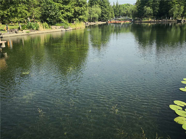 现代科技助力土壤修复治理