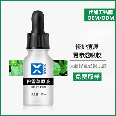 美容院專供積雪草原液 舒緩祛修複痘印疤痕原液廠家代加工oem貼牌