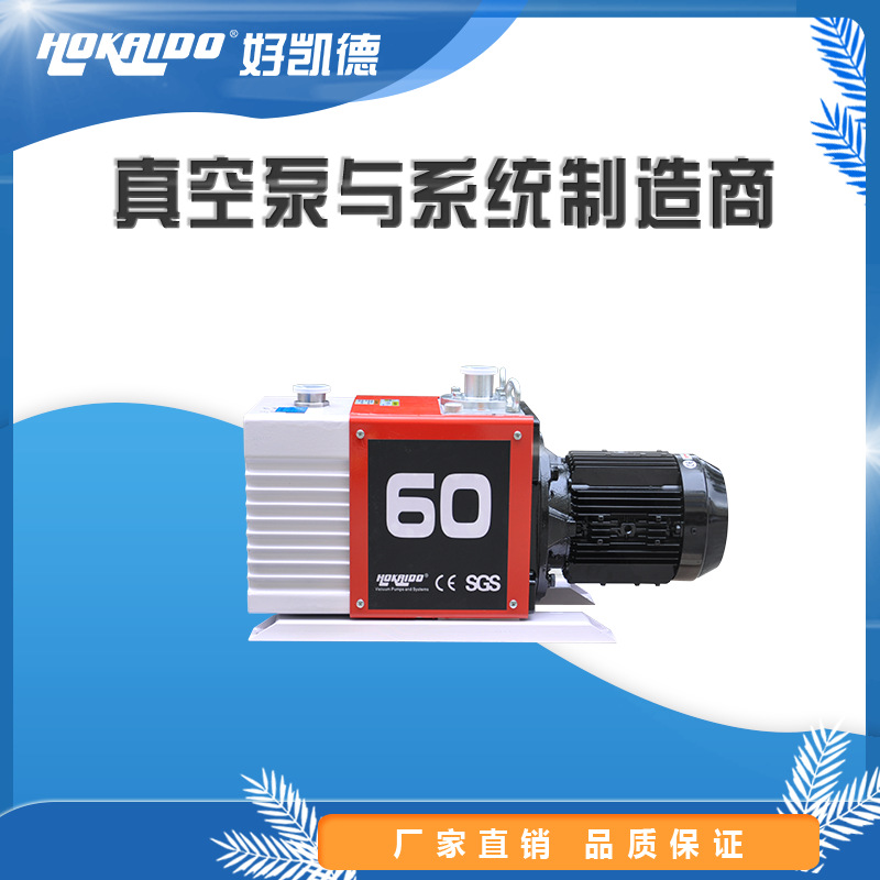 定制款干式旋片真空泵 双级旋片真空泵