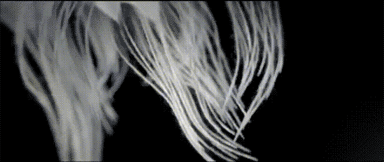 01 (3).gif