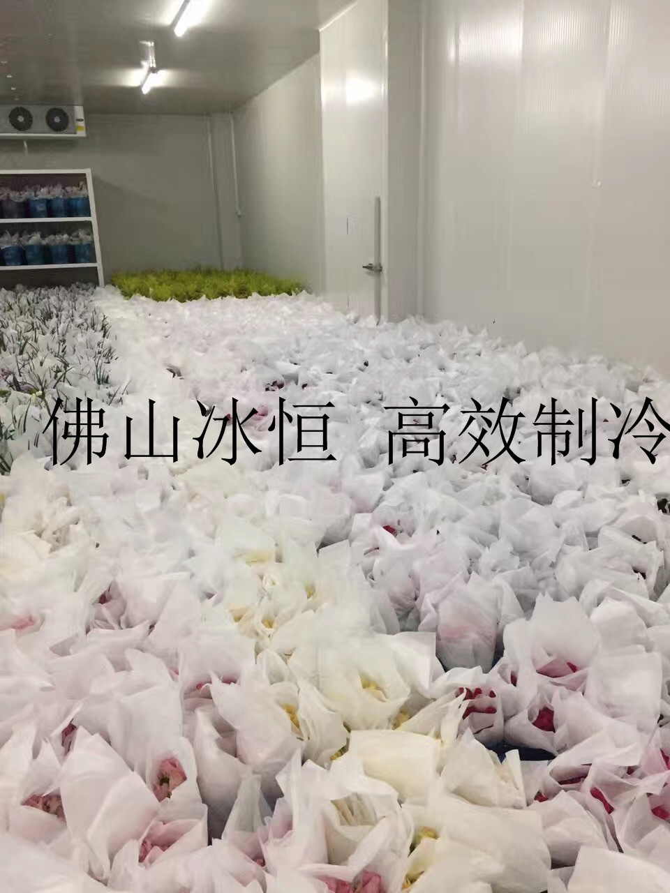 鲜花保鲜冷库 深圳鲜花保鲜 冷库设计 安装 价格优惠