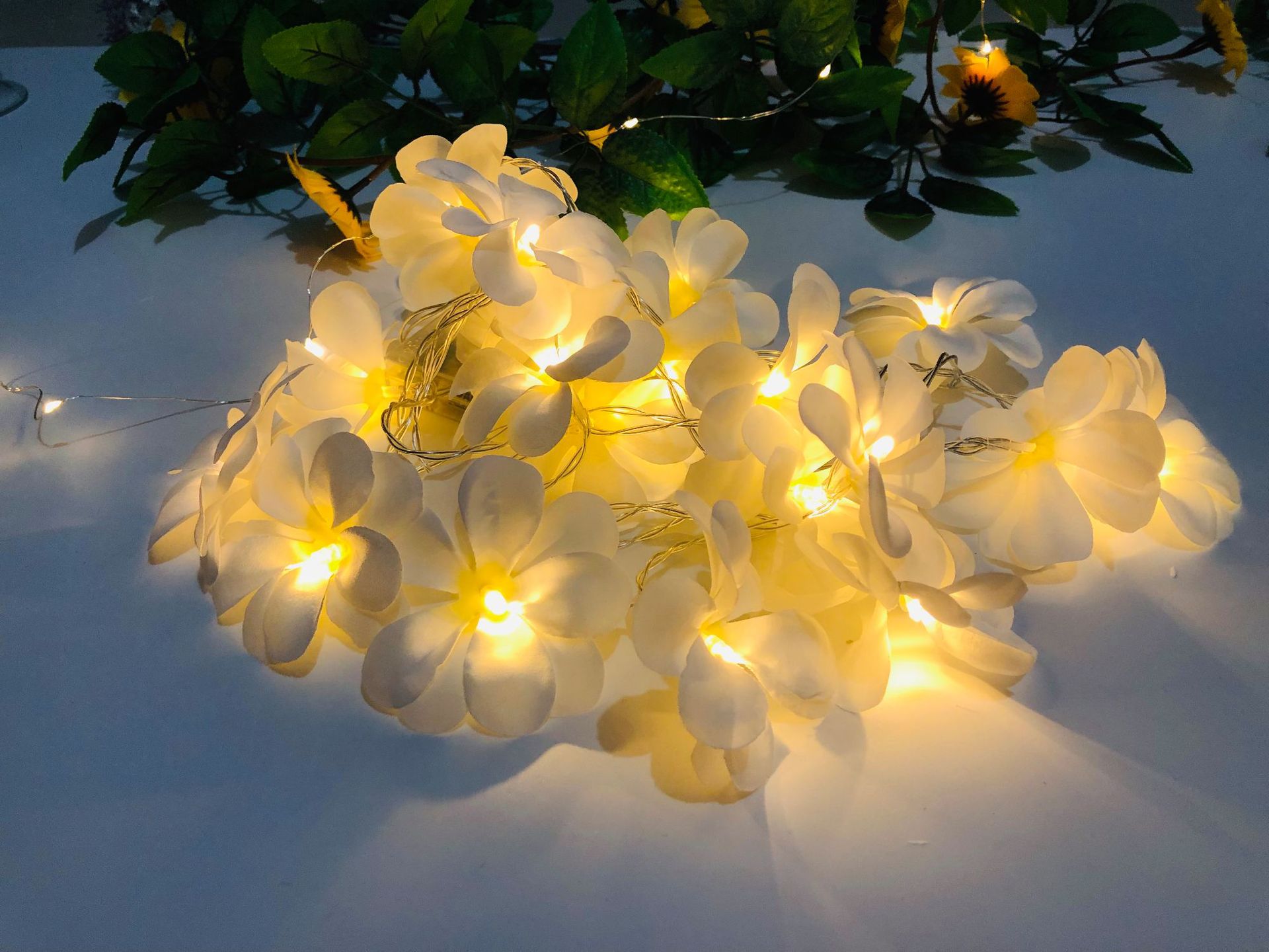 IMG_5459(20190530-180810)