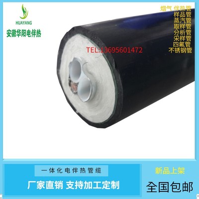 華陽煙氣在線檢測儀CEMS\取樣管\GNX00031400壹體化伴熱取樣管